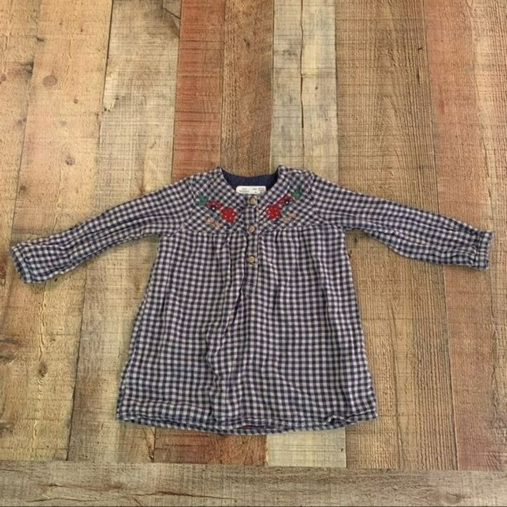 Zara girls sz 18-24M blue white gingham long sleeve dress embroidered flowers
